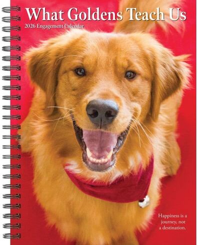 What Goldens Teach Us 2026 6.5" x 8.5" Engagement Calendar in Saudi Arabia