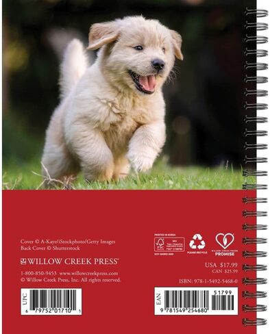 What Goldens Teach Us 2026 6.5" x 8.5" Engagement Calendar in Saudi Arabia