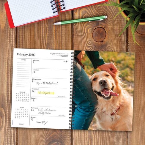 What Goldens Teach Us 2026 6.5" x 8.5" Engagement Calendar in Saudi Arabia