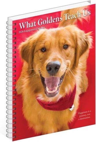What Goldens Teach Us 2026 6.5" x 8.5" Engagement Calendar in Saudi Arabia