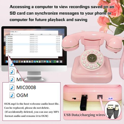 هاتف زفاف ضيف الصوت ، سجل ذاكرة 32 جيجابايت رسائل صوتية مخصصة ، وحدة تخزين قابلة للتعديل ، مناسبة لجميع أنواع الحفلات (Cream Color+Sign) in Kuwait