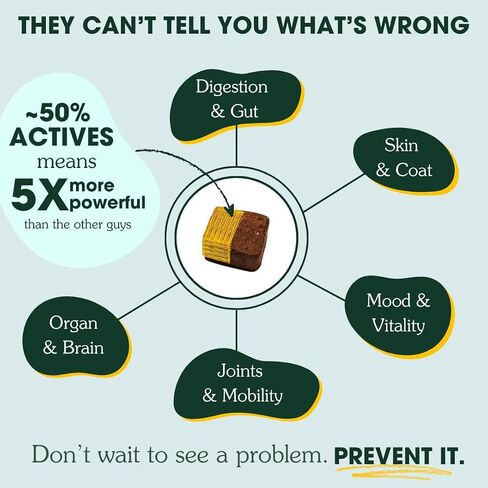ARTERRA LENGEVITY Multivitamin للكلاب-مكونات نشطة بنسبة 50 ٪-مضغ ناعم يوميًا من أجل الأمعاء والدماغ والصحة المفاصل-المكملات من الدرجة البشرية | 30 العد in Saudi Arabia