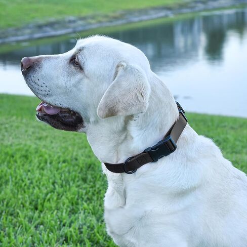 Dogline Biothane Waterproof Dog Collar with Quick Release Buckle Strong Coated Nylon Webbing with Odor- Proof for Easy Care Easy to Clean Fits Small Medium or Large Dogs, Black 3/4" W 12-19" L in Saudi Arabia