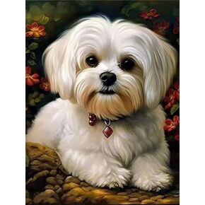 Maltese Dog 5D DIY Diamond Art Painting Kits Art with Diamond Beads Full Range Round Drill Acrylic Color Shiny Beads Diamond Gem Art for Home Decor 30x40cm (fi335) in Kuwait