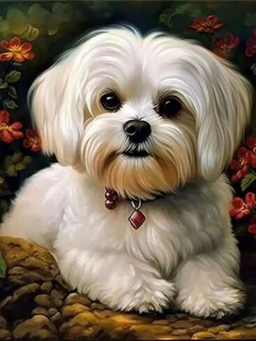 Maltese Dog 5D DIY Diamond Art Painting Kits Art with Diamond Beads Full Range Round Drill Acrylic Color Shiny Beads Diamond Gem Art for Home Decor 30x40cm (fi335) in Saudi Arabia