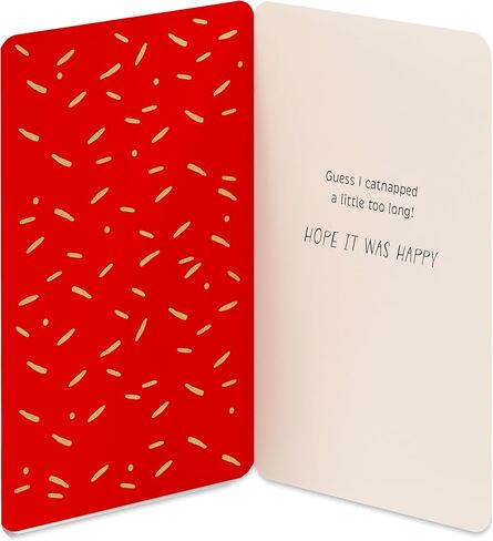 American Greetings Funny Belated Birthday Card (Catnapped) in Saudi Arabia
