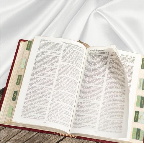 علامات تبويب الكتاب المقدس مغلفة للنساء والرجال ، وقم بإعادة وضع علامات تبويب للكتاب المقدس للطباعة الكبير للدراسة ، وسهلة القراءة وملحقات الكتاب المقدس التفاح ، والأخضر التدرج in Kuwait
