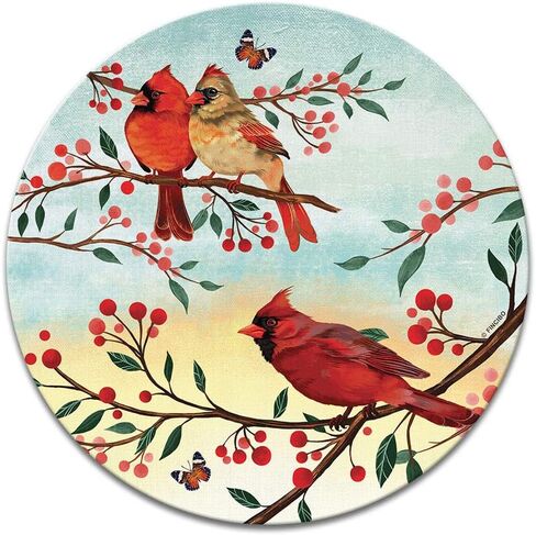 موسباد غير مستديرة ، Wirester Red Cardinal Birds Mouse Pad للمنزل والمكاتب ومكتب الألعاب in Kuwait