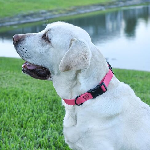 Dogline Biothane Waterproof Dog Collar with Quick Release Buckle Strong Coated Nylon Webbing with Odor- Proof for Easy Care Easy to Clean Fits Small Medium or Large Dogs, Pink 3/4" W 12-19" L in Saudi Arabia