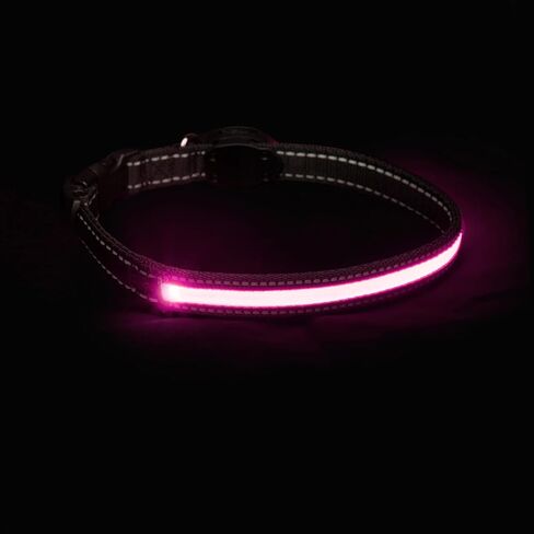 طوق للحيوانات الأليفة LED LED SHERRY KLIN in Kuwait