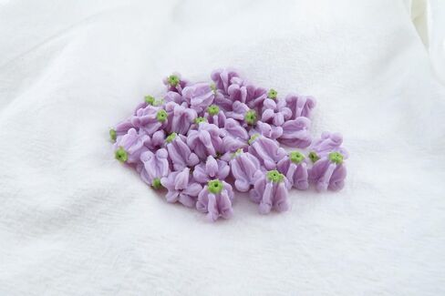 Lavender Purple Crown Flower Clay Beads, 100pcs, Calotropis Gigantea, Milkweed, Craft Supplies, Jewelry Making DIY Supplies, Lei Making in Saudi Arabia