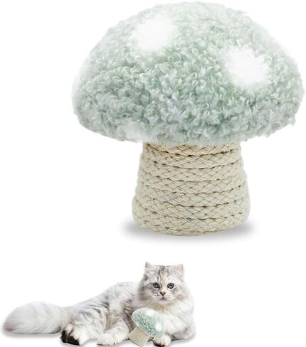 Catnip Toys for Cats, Cute Plush Mushroom Shape Cat Toys for Indoor Cats Adult, Built-in Sound Stone Cat Chew Toy for Teeth Cleaning Interactive Boredom Relief (Green) in Kuwait