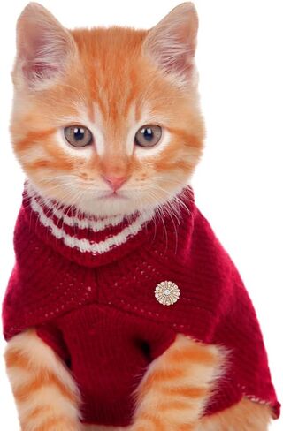 Superfindings 8pcs زهرة أزرار شانكون زهرة 22.5 ملم خياطة على أزرار الذهب الفاتح الزخارف الكريستالية مع فتحة واحدة للمعاطف لباس المجوهرات DIY صنع زينة الصياغة in Kuwait