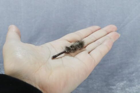 Airads Dollhouse 1:12 مقياس منافذ الريشة المصغرة in Kuwait