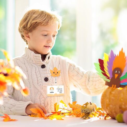 Fall Badge Reels Retractable Autumn Maple Leaf Nurse ID Badge Holder with Clip Thanksgiving Colorful Cute Autumn Leaves Name ID Reel for Nurse Doctor Medical Worker Teacher Student Favors in Saudi Arabia