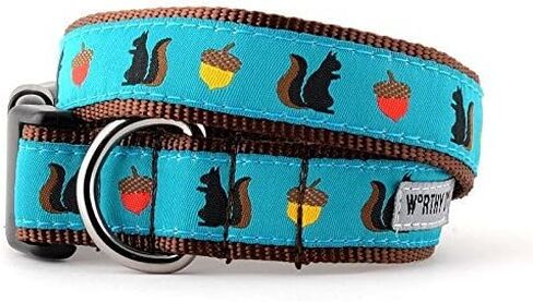 The Worthy Dog Squirrelly, Squirrel and Acorn Adjustable Designer Pet Dog Collar , Teal, M in Saudi Arabia