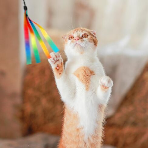 5 PCS Cat Toys استبدال عصا ، لعبة قوس قزح قوس قزح التفاعلية ، صغار القطط المحمولة ، ألعاب ملحق القطط الشريط مع الجرس لمعظم القطط قطط الحيوانات الأليفة الصغيرة in Kuwait