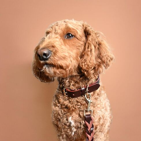 100% Real Leather Dog Collar and Leash Set, Premium Adjustable Fit with Durable Buckle, Stylish Comfort for Dogs (Small) in Saudi Arabia