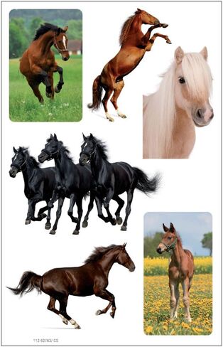Sticker Self Adhesive Motiv: 16 in Saudi Arabia