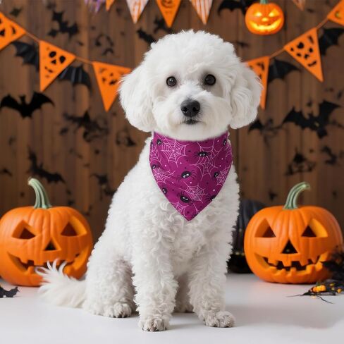 Hoyuwak 2 PCS Halloween Dog Bandanas Purple Ghost Bat Triangle Accves for Small Medium Dog Halloween in Saudi Arabia