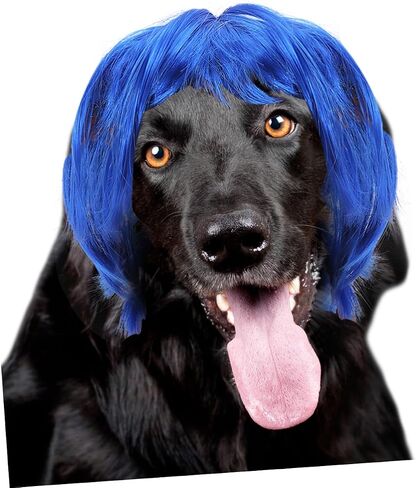 YARNOW Dog Wig Dog Halloween Costume Cat Wig Blue Hair with Adjustable Elastic Bands for Halloween, Christmas, Parties in Saudi Arabia