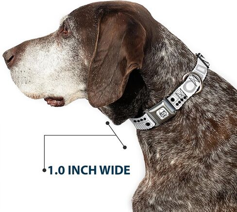 Star Wars Pet Collar, Dog Collar Metal Seatbelt Buckle, Star Wars Stormtroopers Utility Belt Bounding White Grays, 20 to 31 Inches 1.5 Inch Wide in Saudi Arabia