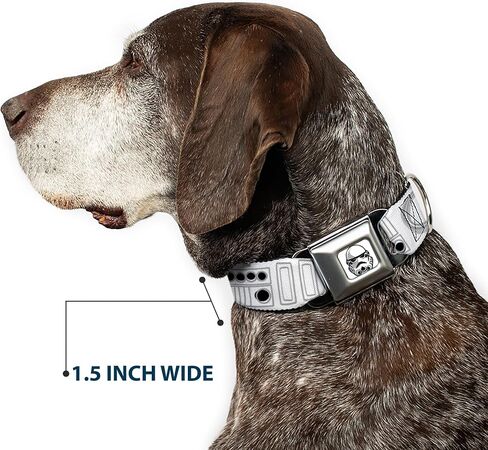 Star Wars Pet Collar, Dog Collar Metal Seatbelt Buckle, Star Wars Stormtroopers Utility Belt Bounding White Grays, 20 to 31 Inches 1.5 Inch Wide in Saudi Arabia