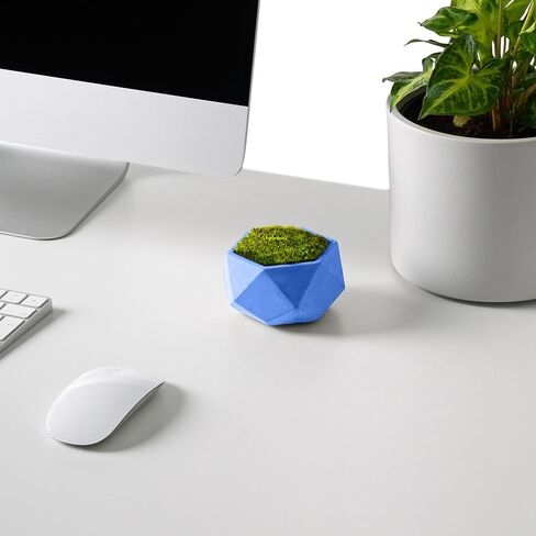 Pro & Family Concrete Desk Organizer Pencil Holder Pen Holder Decore Decord Flower Pot Work Room Decore Coffee Table Decor in Kuwait