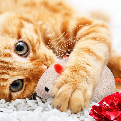 Logofun 4pcs Plush Cat Mouse Toys فئران هريرة مضغ لعبة لمستلزمات الحيوانات الأليفة - الرمادي+البيج in Saudi Arabia