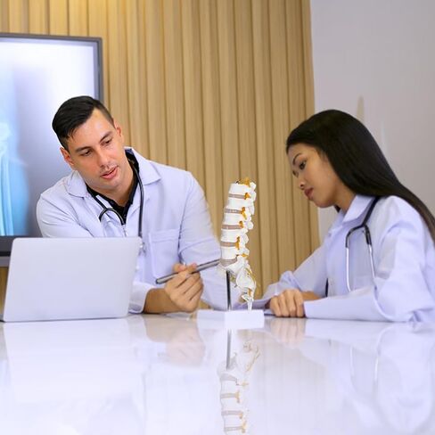 Scientific Lumbar Spine Model with 5 Vertebrae, Life Size Human Lumbar Vertebrae Anatomy Model with Sacrum, Spinal Disc, and Sturdy Base, Perfect Tool for Classrooms, Offices, Medical Teaching. in Kuwait