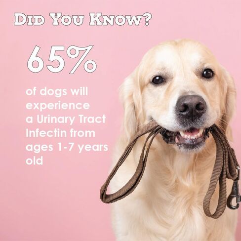 التوت البري D-مانوز لدعم المسالك البولية - مكمل لصحة المثانة للكلاب والقطط - 60 قرصًا in Kuwait