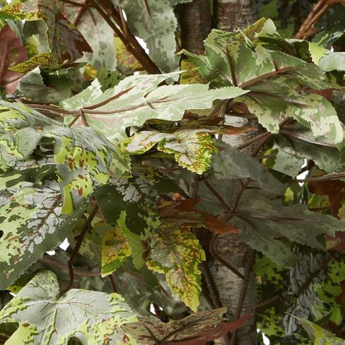 Vickerman 4' Artificial Frosted Maple Bush, Gray Plastic Container. in Saudi Arabia
