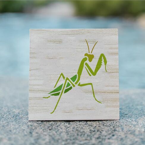 FINGERINSPIRE 6Styles Praying Mantis Pattern Stencils with a Brush 5.9x5.9Inch Various Insects Drawing Stencils PET Animal Themes Template for Wood Wall Floor Tiles in Saudi Arabia