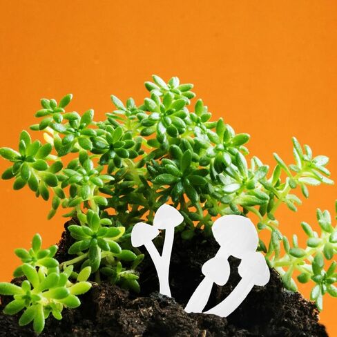 ARTIBETTER 9pcs Mini Mushrooms DIY 3D Mushrooms Ornament Garden Plant Model Dollhouse Micro Landscape Random Style in Kuwait