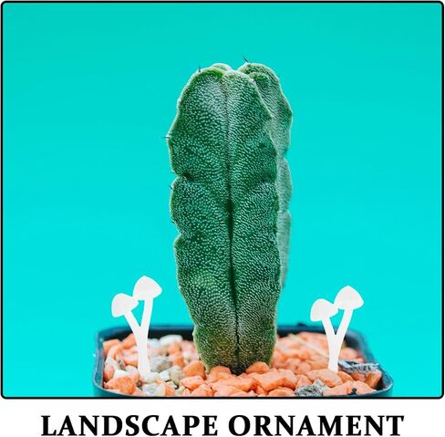 ARTIBETTER 9pcs Mini Mushrooms DIY 3D Mushrooms Ornament Garden Plant Model Dollhouse Micro Landscape Random Style in Kuwait