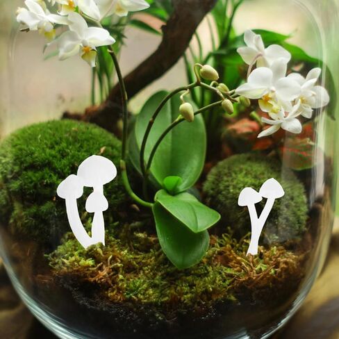 ARTIBETTER 9pcs Mini Mushrooms DIY 3D Mushrooms Ornament Garden Plant Model Dollhouse Micro Landscape Random Style in Kuwait