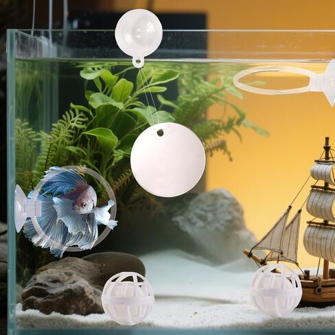 ألعاب Betta Fish ، 2 PCS Fish Exercy Ring و Nitrine Calls Set ، مجموعة لعبة Betta Mirror ، حلقة التغذية مع كوب الشفط ، ملحقات خزان الصيد للهدايا (أحمر) in Kuwait