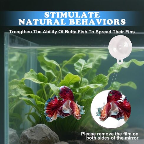 ألعاب Betta Fish ، 2 PCS Fish Exercy Ring و Nitrine Calls Set ، مجموعة لعبة Betta Mirror ، حلقة التغذية مع كوب الشفط ، ملحقات خزان الصيد للهدايا (أحمر) in Kuwait
