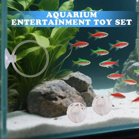 ألعاب Betta Fish ، 2 PCS Fish Exercy Ring و Nitrine Calls Set ، مجموعة لعبة Betta Mirror ، حلقة التغذية مع كوب الشفط ، ملحقات خزان الصيد للهدايا (أحمر) in Kuwait