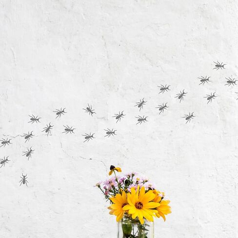 FINGERINSPIRE Trailing Ants Stencil 11.7x8.3 inch Hollow Out Ant Colony Drawing Stencils Reusable Plastic Animal Theme Stencil Coloring Decorative Template for DIY Scrapbook, Craft, Tiles, Floors in Saudi Arabia
