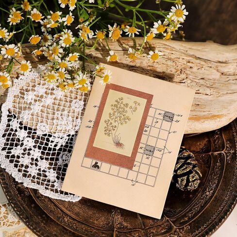 Vintage Junk Journal Ephemera Scrapbooking Supplies Translucent Vellum Paper Stickers Card Making Decal Art Aesthetic for Adults (Character Frame Art) in Saudi Arabia