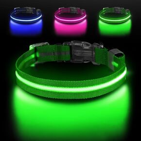 الربيع الأخضر الصغير LED COG COLLAR | المشي الليل فقط حصلت على أكثر أمانًا | طوق LED فائق الفتاة | USB القابلة لإعادة الشحن | مقاومة للماء | قابل للتعديل ودائم | 4 أوضاع الضوء | حافظ على جروك ونفسك آمنًا! in Saudi Arabia