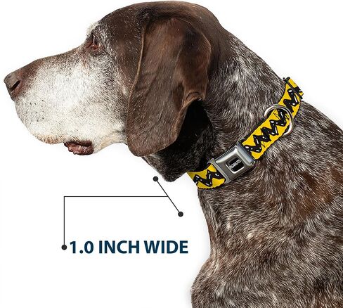 الفول السوداني العالمي LLC PET TWILAR ، طوق الكلاب حزام الأمان المعدني ، الفول السوداني تشارلي براون Zig Zag Stripe Black ، 15 إلى 24 بوصة 1.0 بوصة in Saudi Arabia