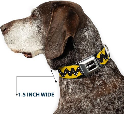 الفول السوداني العالمي LLC PET TWILAR ، طوق الكلاب حزام الأمان المعدني ، الفول السوداني تشارلي براون Zig Zag Stripe Black ، 15 إلى 24 بوصة 1.0 بوصة in Saudi Arabia