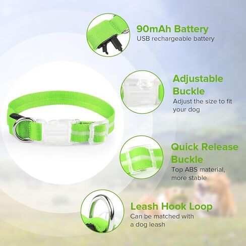 الربيع الأخضر الصغير LED COG COLLAR | المشي الليل فقط حصلت على أكثر أمانًا | طوق LED فائق الفتاة | USB القابلة لإعادة الشحن | مقاومة للماء | قابل للتعديل ودائم | 4 أوضاع الضوء | حافظ على جروك ونفسك آمنًا! in Saudi Arabia