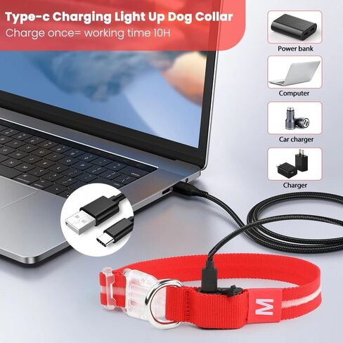 الربيع الأخضر الصغير LED COG COLLAR | المشي الليل فقط حصلت على أكثر أمانًا | طوق LED فائق الفتاة | USB القابلة لإعادة الشحن | مقاومة للماء | قابل للتعديل ودائم | 4 أوضاع الضوء | حافظ على جروك ونفسك آمنًا! in Saudi Arabia
