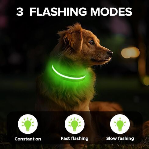 الربيع الأخضر الصغير LED COG COLLAR | المشي الليل فقط حصلت على أكثر أمانًا | طوق LED فائق الفتاة | USB القابلة لإعادة الشحن | مقاومة للماء | قابل للتعديل ودائم | 4 أوضاع الضوء | حافظ على جروك ونفسك آمنًا! in Saudi Arabia