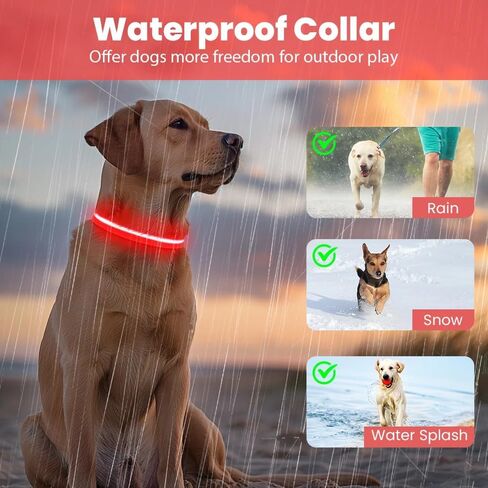 الربيع الأخضر الصغير LED COG COLLAR | المشي الليل فقط حصلت على أكثر أمانًا | طوق LED فائق الفتاة | USB القابلة لإعادة الشحن | مقاومة للماء | قابل للتعديل ودائم | 4 أوضاع الضوء | حافظ على جروك ونفسك آمنًا! in Saudi Arabia
