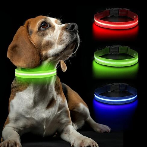 الربيع الأخضر الصغير LED COG COLLAR | المشي الليل فقط حصلت على أكثر أمانًا | طوق LED فائق الفتاة | USB القابلة لإعادة الشحن | مقاومة للماء | قابل للتعديل ودائم | 4 أوضاع الضوء | حافظ على جروك ونفسك آمنًا! in Saudi Arabia