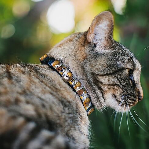 Buckle-Down Star Wars Cat Collar, Breakaway Collar with Bell, Star Wars 5 Character Poses Stacked, 8.5 to 12 Inches 0.5 Inch Wide in Saudi Arabia